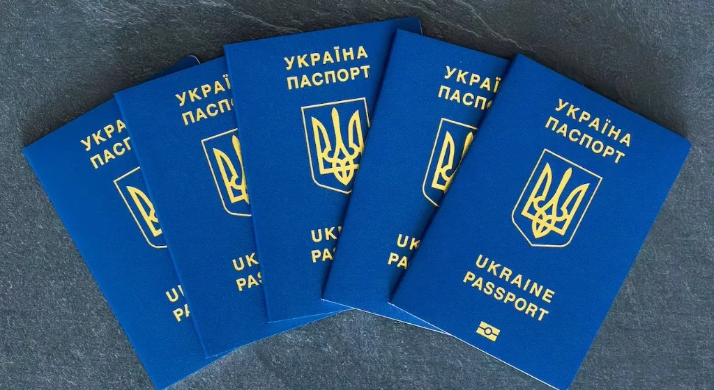 ДПС і прикордонники автоматизували обмін даними: що це значить